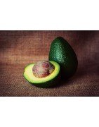 Avocado